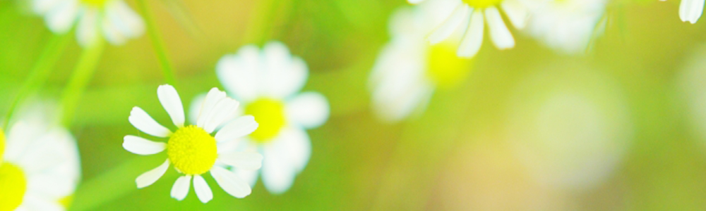 地域福祉連携室